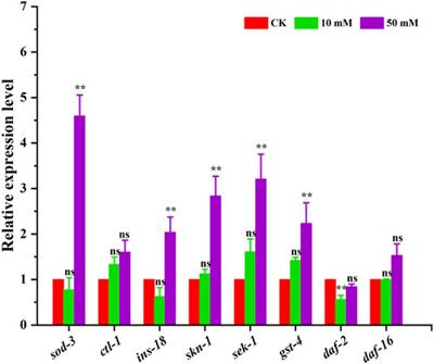 Anti-aging effect of glycerophosphocholine in Steinernema kraussei 0657L